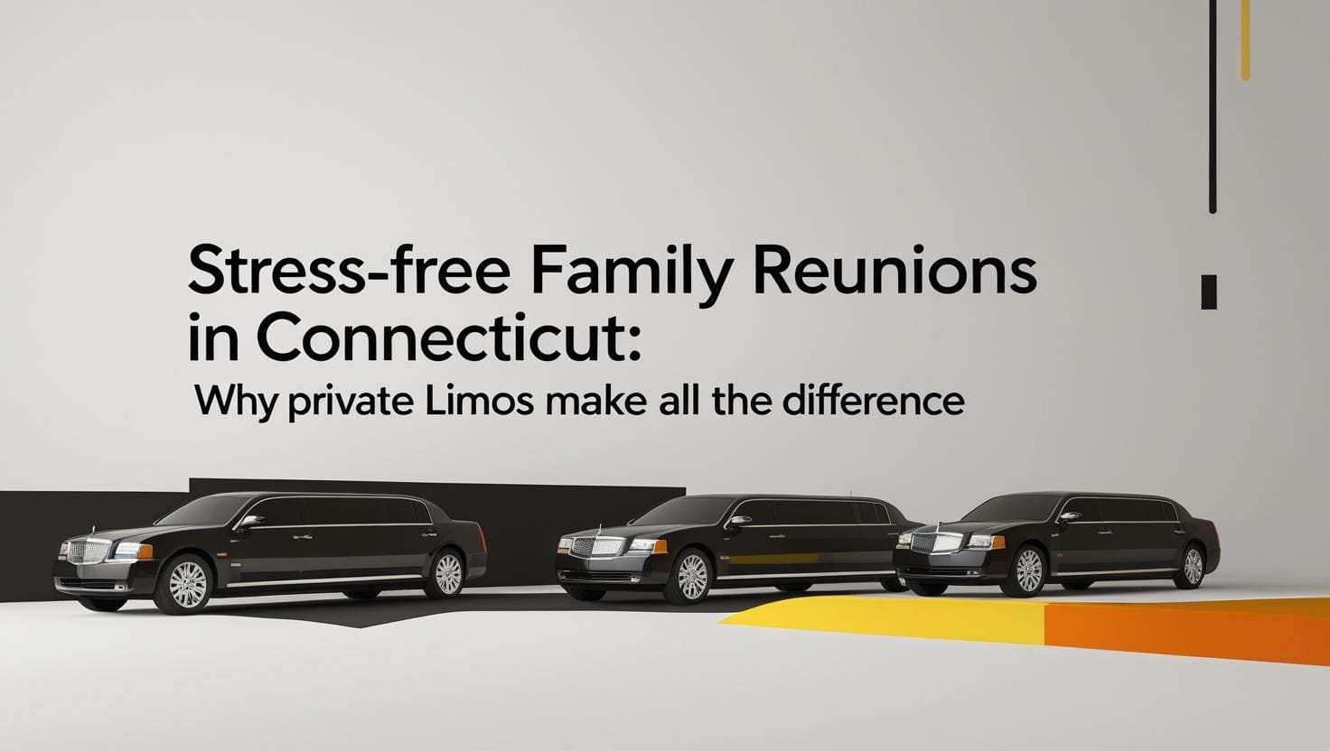 Private Limos Make by vip blacks car service